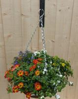 Hanging basket zomerbloeiers kleurenmix h25 cm Warentuin Natuurlijk - Warentuin natuurlijk - thumbnail