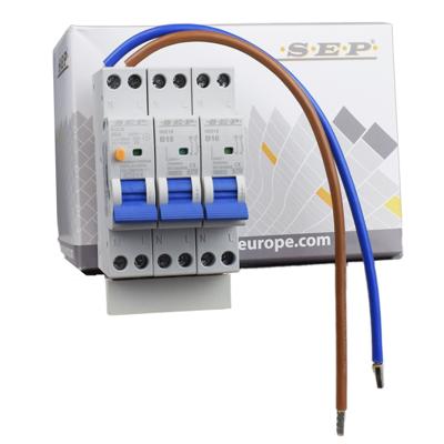 SEP combiset aardlekschakelaar 30mA 40A + 2 installatieautomaten 1polig+N B16