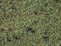 NOCH 8350 Strooigras Bosgrond Donkergroen - thumbnail