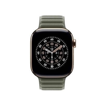 Apple Watch Band - Magnetic Link - 42 mm - Groengrijs - M/L