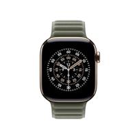 Apple Watch Band - Magnetic Link - 42 mm - Groengrijs - M/L - thumbnail