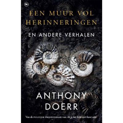 Een muur vol herinneringen (Paperback)