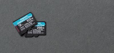 Kingston Technology Canvas Go! Plus 256 GB SD UHS-I Klasse 10