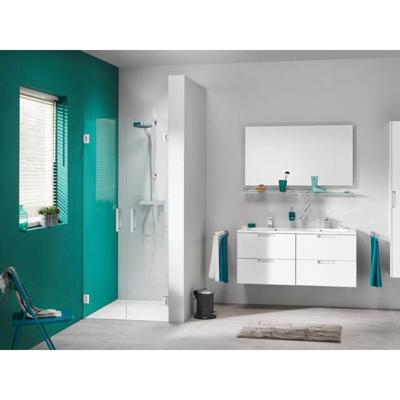 Nisdeur by Sealskin &apos;I AM&apos; 80x200 cm Pendeldeuren RVS Helder Glas Antikalk