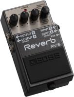 Boss Digital Delay Reverb RV-6 - thumbnail