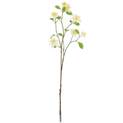 Clematis Kunsttak 92cm Creme