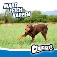 Chuckit ultra bal - thumbnail