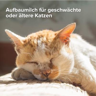 BEAPHAR KITTY MILK LACTOL 500 GR - thumbnail