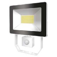 ESYLUX AFLBASICLED30W 3K WH EL10810848 LED-buitenschijnwerper 30 W Lichtkleur (naam): Wit