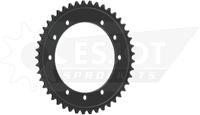 ESJOT Chain wheel 525 45z steel black - thumbnail