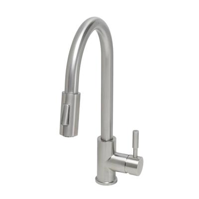 BWS Keukenmengkraan Irene met Uittrekbare Handdouche RVS