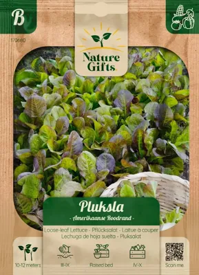 Pluksla amerikaanse roodrand per 11m Pluksla amerikaanse roodrand per 11m