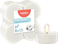 Bolsius maxilicht geur 8st fresh cotton - thumbnail