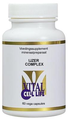 IJzer complex
