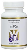 IJzer complex - thumbnail