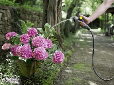 Kärcher Home & Garden Performance Premium 2.645-325.0 Tuinslang Zwart 50 m 50 m Kärcher Home & Garden Performance Premium 2.645-325.0 Tuinslang Zwart 50 m 50 m