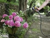 Karcher Hose Primoflex Premium 1/2'' 50m - 2.645-325.0 - thumbnail