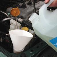 Lifetime Papieren trechter (250 stuks) - thumbnail