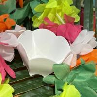 Hawaïkrans Malia - thumbnail