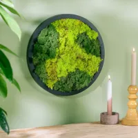 Mosschilderij Rond - L - thumbnail