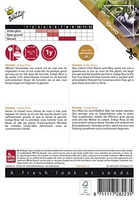 Pomodori Indigo rose (zwart) zaden Buzzy - Buzzy Pomodori Indigo rose (zwart) zaden Buzzy - Buzzy