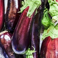 Aubergine zaden Black Beauty - thumbnail