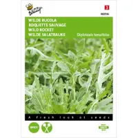 Zaden Rucola Selvatica Buzzy - Buzzy - thumbnail