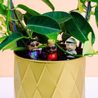 Bloempot rappers (set van 4) - thumbnail
