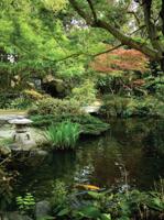 Vijver 50x70cm Tuinschilderij Customize-it - Customize it - thumbnail