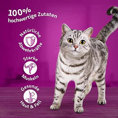 Whiskas 1+ Vis Selectie in gelei natvoer kat multipack (85 g) 2 verpakkingen (80 x 85 g) - thumbnail