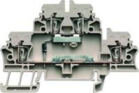 Weidmüller 1690020000 Componentenserieklem Spanveer Donkerbeige 50 stuk(s) - thumbnail