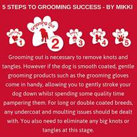 MIKKI KITTEN GROOMING KIT - thumbnail