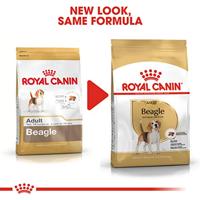 Royal Canin Adult Beagle hondenvoer 2 x 12 kg - thumbnail