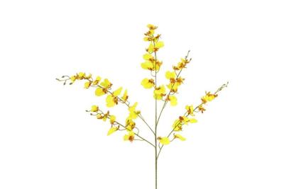 Decostar zijdebloem Phalaenopsis 90 cm geel