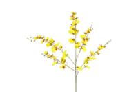 Decostar zijdebloem Phalaenopsis 90 cm geel - thumbnail