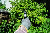 Mesto Profi Plus 5 l - thumbnail