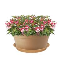 Elho green basics schotel 45 cm mild terra - thumbnail