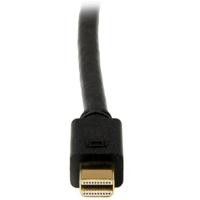 Mini DisplayPort naar DVI-Adapter Startech MDP2DVIMM6B (1,8 m) Zwart 1.8 m - thumbnail