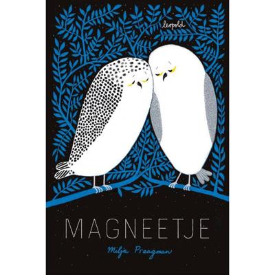 Magneetje (Hardback)