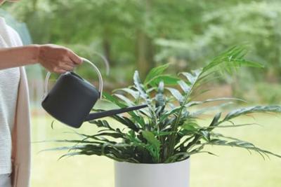 Elho b.for soft gieter 1,7 liter antraciet - thumbnail