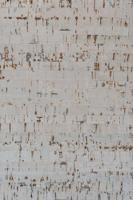 Kurk Kurk Tegel Valencia 3 mm dik - 2102 - thumbnail