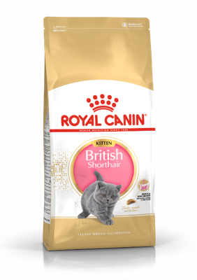 ROYAL CANIN British Shorthair Kitten - droog kattenvoer - 400g