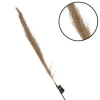 Parlane pampas gras naturel 120 cm | 18 stuks - thumbnail