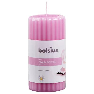 Bolsius True Scents stompkaars geur 120/58 magnolia 1 Stuks Bolsius True Scents stompkaars geur 120/58 magnolia 1 Stuks