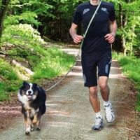 TRIXIE HONDENRIEM JOGGINGLIJN GRIJS / GROEN 133-180X2 CM - thumbnail