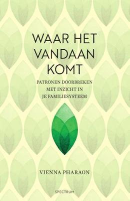 Waar het vandaan komt (Paperback)