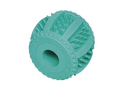 Honden-kauwspeelgoed Dental Line, turquoise