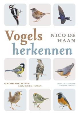Vogels herkennen - Nico de Haan - ebook
