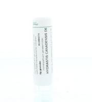 Homeoden Heel Hydrastis canadensis D6 6 Gram - thumbnail