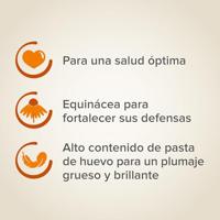 BEAPHAR XTRAVITAL GROTE PARKIET 1 KG - thumbnail